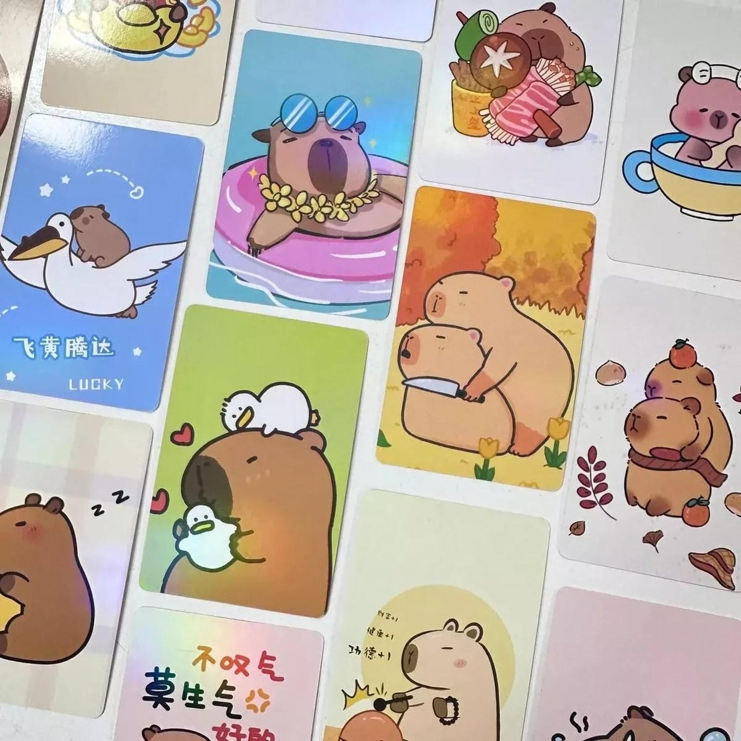 Caja Sorpresa Capybara Carpincho Kawaii Peluche Libreta Cute