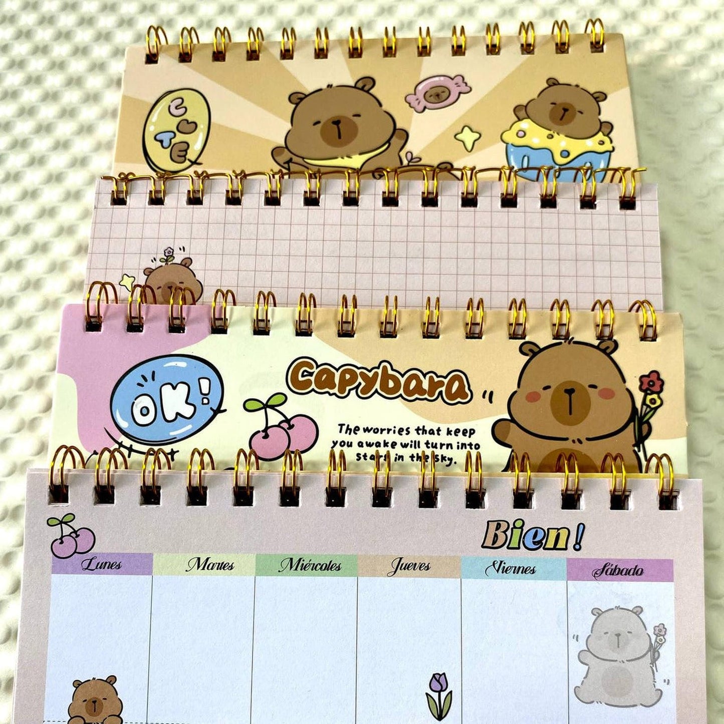 Caja Sorpresa Capybara Carpincho Kawaii Peluche Libreta Cute