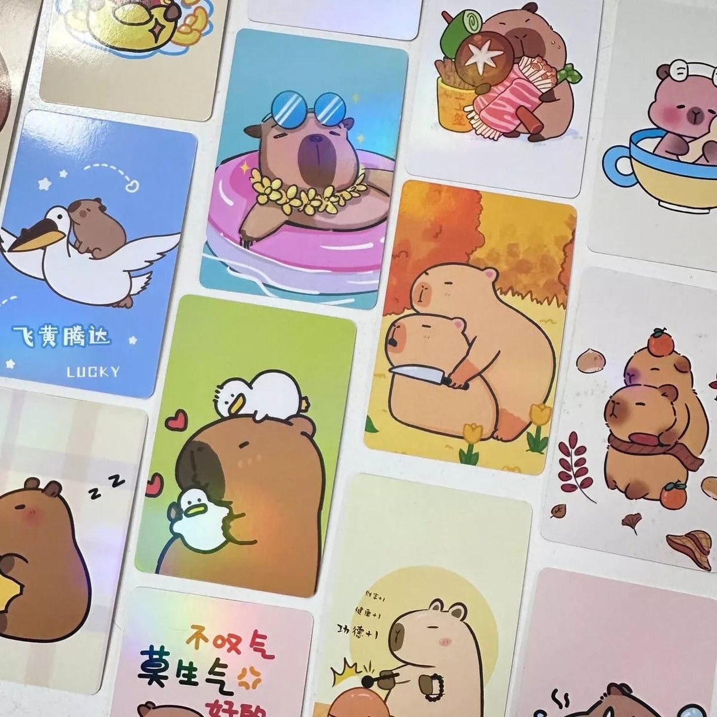 Caja Sorpresa Capybara Carpincho Kawaii Peluche Libreta Cute