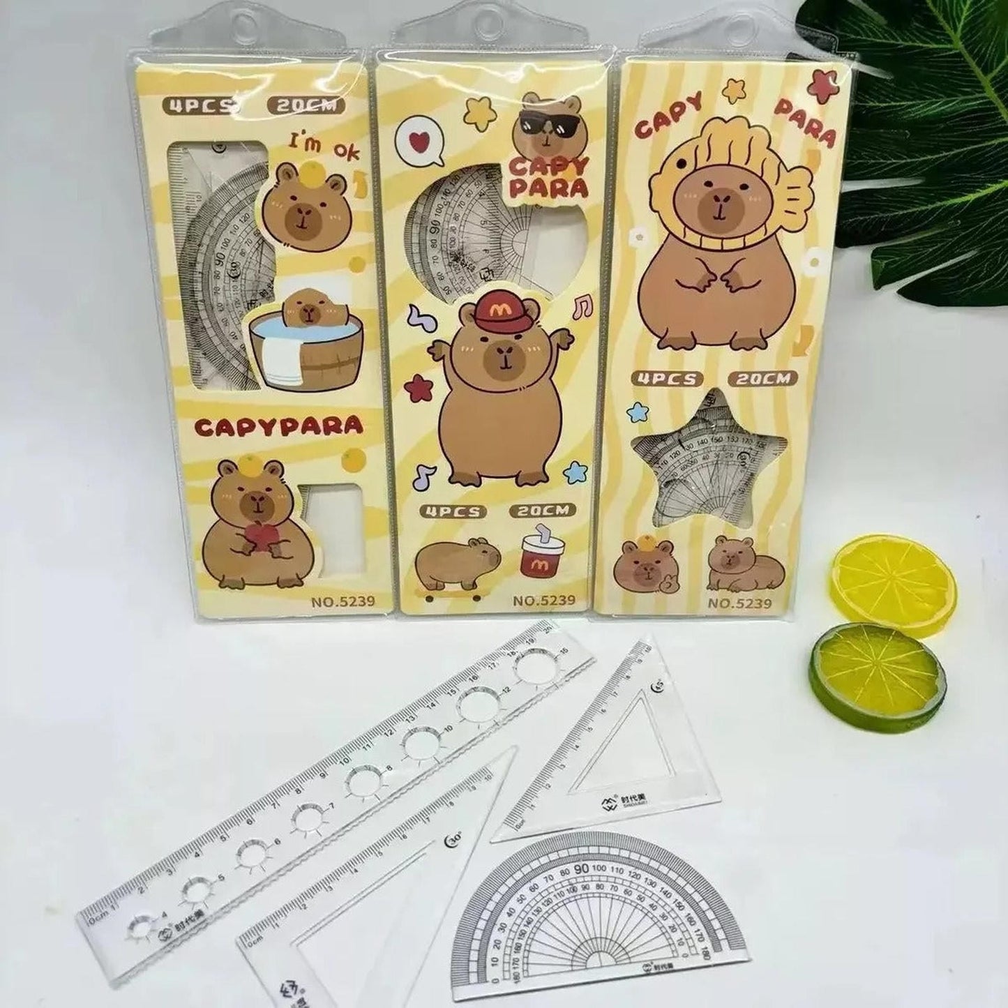 Caja Sorpresa Capybara Carpincho Kawaii Peluche Libreta Cute