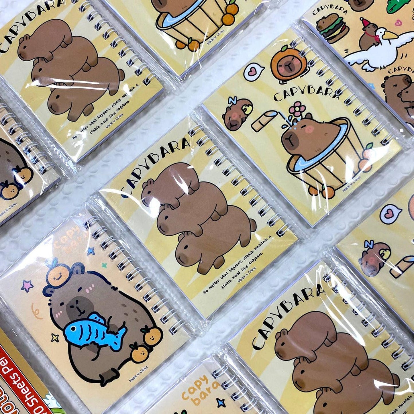 Caja Sorpresa Capybara Carpincho Kawaii Peluche Libreta Cute
