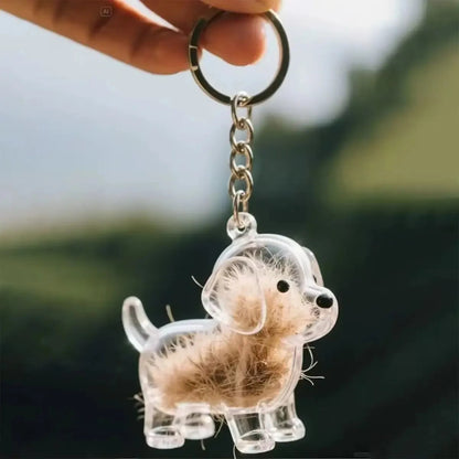 Llavero Mascota Guarda Pelo Perrito Recuerdo Transparente