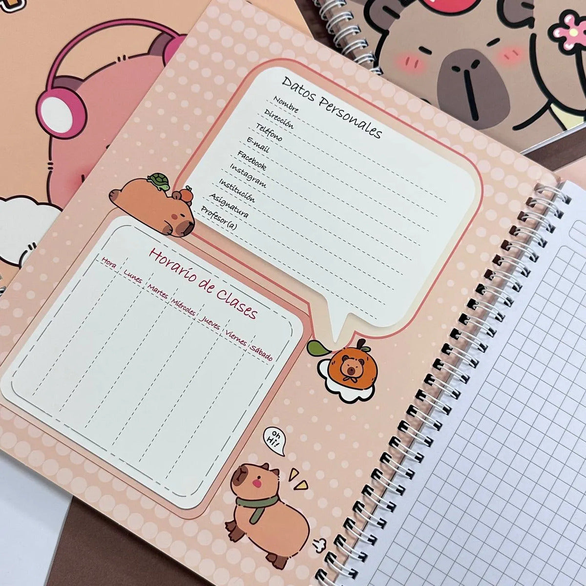 Set 10 Cuadernos Capybara Universitario Doble Espiral