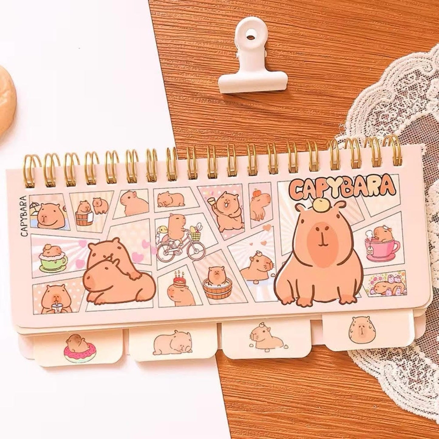 Caja Sorpresa Capybara Carpincho Kawaii Peluche Libreta Cute