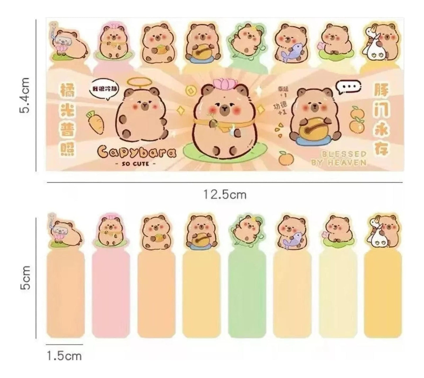 Caja Sorpresa Capybara Carpincho Kawaii Peluche Libreta Cute