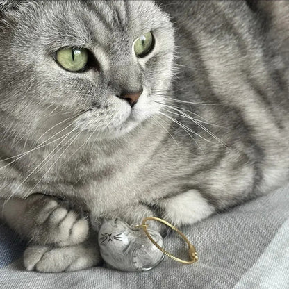 Llavero Gatito Transparente Guarda Pelo De Mascota Recuerdo