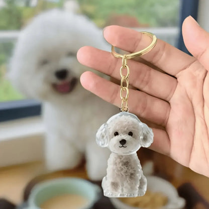 Llavero Mascota Guarda Pelo Perrito Recuerdo Transparente